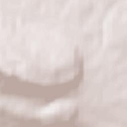 Nowa Słupia Terrain Map