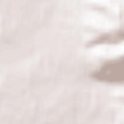 Tymovskoye Terrain Map