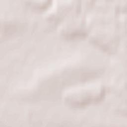 Dąbrowa Zielona Terrain Map