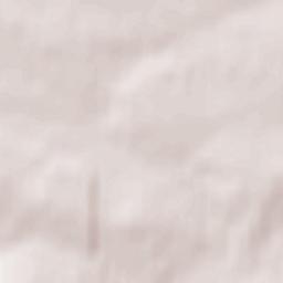 Wola Jachowa Terrain Map