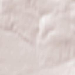 Stary Zamość Terrain Map