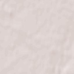 Chopovychi Terrain Map