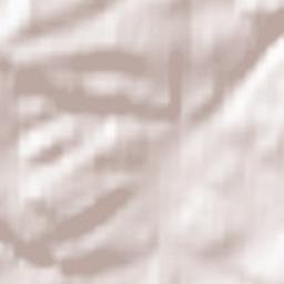 Tambach-Dietharz Terrain Map