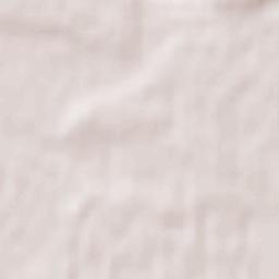 Koloniya Zastav’ye Terrain Map