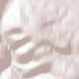 Luisenthal Terrain Map