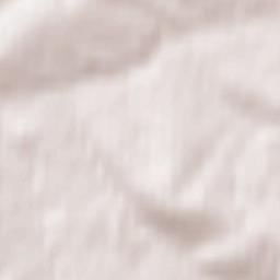 Oberlungwitz Terrain Map