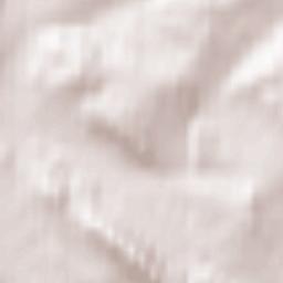 Czarny Bór Terrain Map