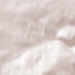 Dziećmorowice Terrain Map