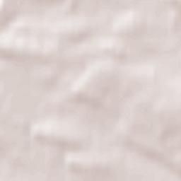 Brzeziny Terrain Map