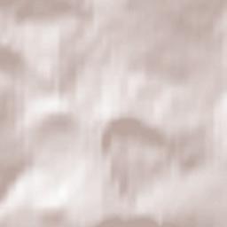 Charmouth Terrain Map