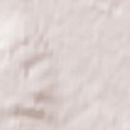 Bornheim Terrain Map