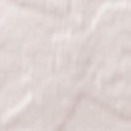 Powiat janowski Terrain Map