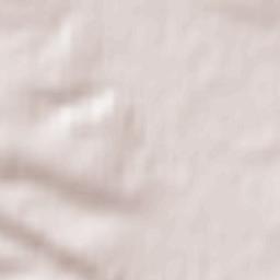 Radecznica Terrain Map