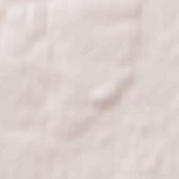 Werbkowice Terrain Map