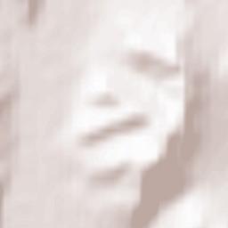 Priargunskiy Rayon Terrain Map