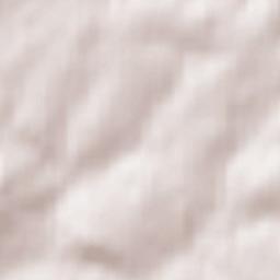 La Capelle-lès-Boulogne Terrain Map