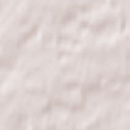 Irshansk Terrain Map