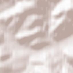 Mittenaar Terrain Map