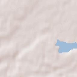 Janów Lubelski Terrain Map