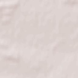 Powiat hrubieszowski Terrain Map