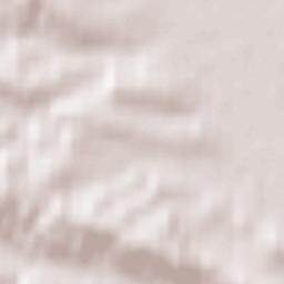 Exminster Terrain Map