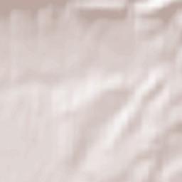 Newchurch Terrain Map