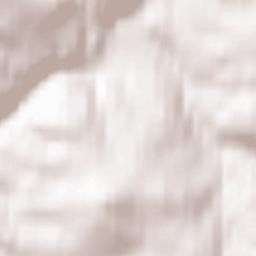 Neuhausen Terrain Map