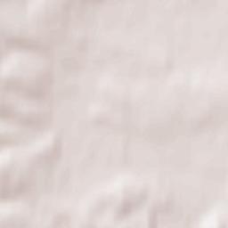 Henryków Terrain Map