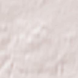 Kamienica Polska Terrain Map