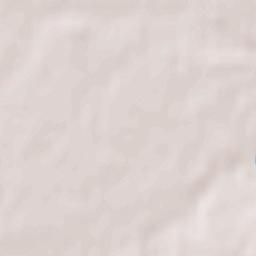 Khoroshiv Raion Terrain Map