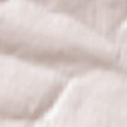 Krasnogvardeyskiy Rayon Terrain Map