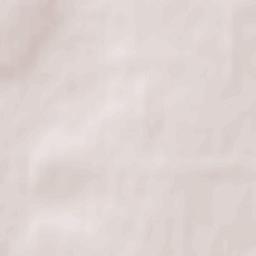 Rogachev Terrain Map