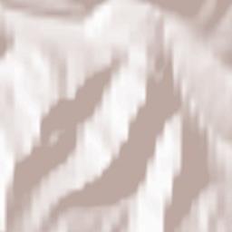 Ongudayskiy Rayon Terrain Map