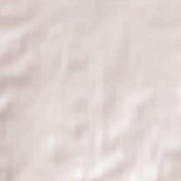 Godshill Terrain Map