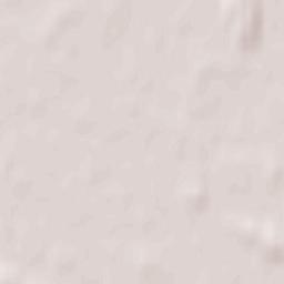 Zaleszany Terrain Map