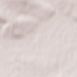 Alekseyevka Terrain Map