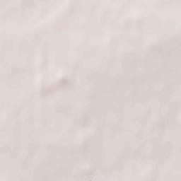 Radinghem-en-Weppes Terrain Map