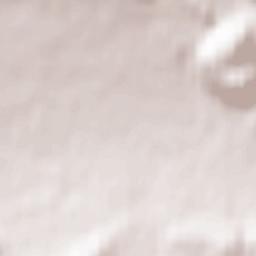 Alten Buseck Terrain Map