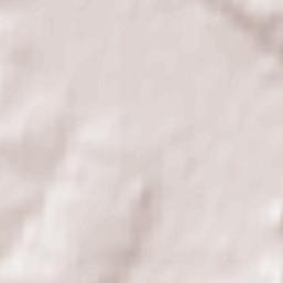 Ziębice Terrain Map