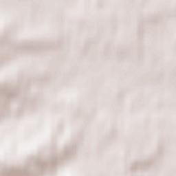 Zwierzyniec Terrain Map