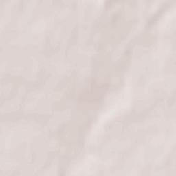 Khoroshiv Terrain Map