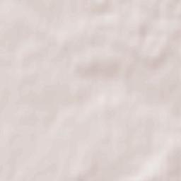 Potiivka Terrain Map