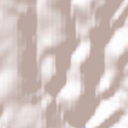 Frauenwald Terrain Map