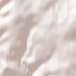 Neustadt am Rennsteig Terrain Map