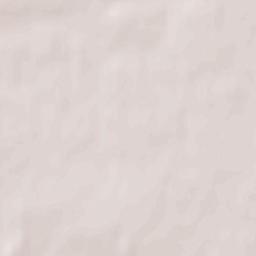 Skoroszyce Terrain Map