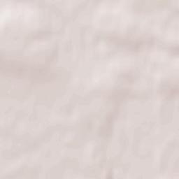 Staszów Terrain Map