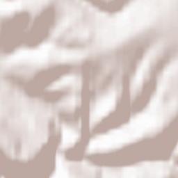 Probstzella Terrain Map