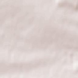 Wodzisław Terrain Map