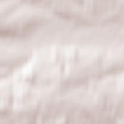 Rachanie Terrain Map