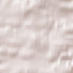 Ipplepen Terrain Map